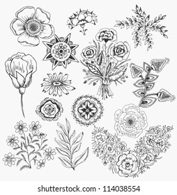 set flowers hand drawn vector background elements