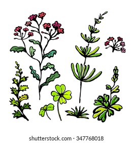 Set flowers handmade. Vector