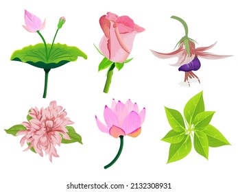 BlumenSet mit handschriftlich Vektorgrafik