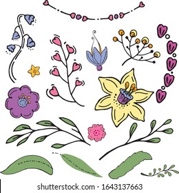 Set of flowers and herbs, doodles. Spring clipart