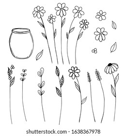 Set of flowers, herbs and jars in doodle style hand-drawn for cards, festive decoration.