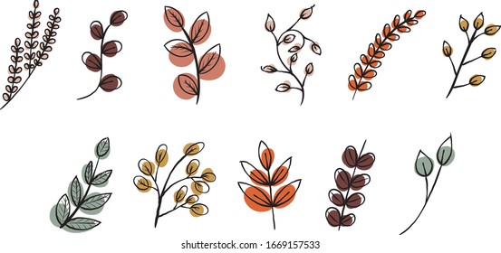 Set of flowers and herbs. Vector collection leaf. Hand Drawn vintage floral elements.