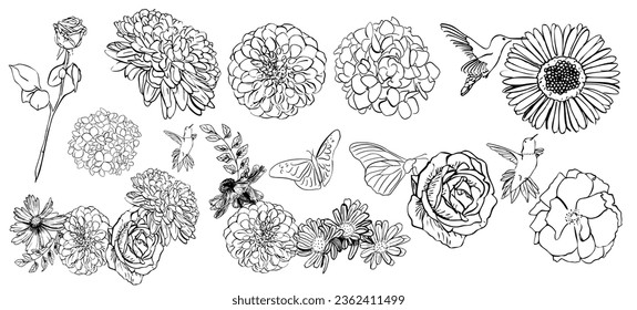 Set of flowers hortensia hibiscus daisies roses butterfly colibris vector ink illustration 