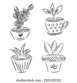 Set Of Flowers House Plant Hand Drawn Vector Outline Doodle Icon. Collectoin Decorative Potted House Plant Sketch Illustration For Print Isolated On White Background. Vector Illustration