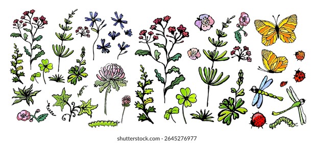 Set of flowers and insects. hand drawn. Not AI, Vector illustration.