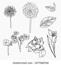SEt of flowers isolated. Graphics.