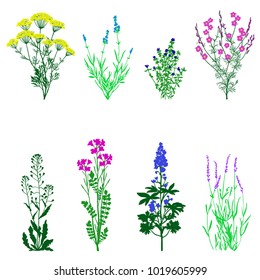 set of flowers isolated on white background, vector illustration