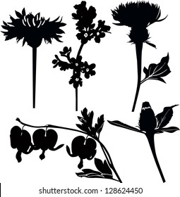 set of flowers isolated on white background