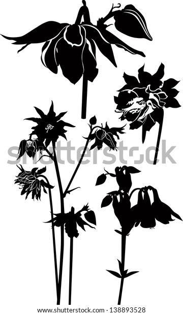 Set Flowers Isolated On White Background Stock Vector (Royalty Free