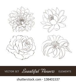 Set of flowers isolated over white. Vector illustration