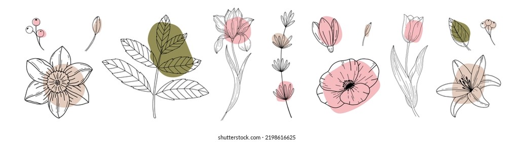 Set of flowers and leaf continuous Line art . Abstract Contemporary collage of geometric shapes in a modern trendy style. Vector for Beauty Concept, t-Shirt Print, postcard, poster