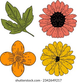Blumenset und handgezeichneter Blattstil