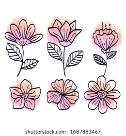 set of flowers with leafs decoration vector illustration design