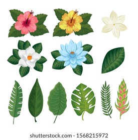 set of flowers and leafs tropicals vector illustration design
