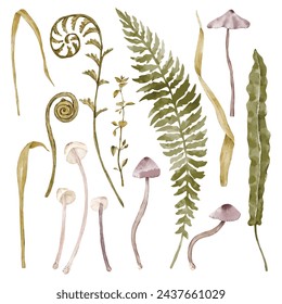 Set of flowers and leaves