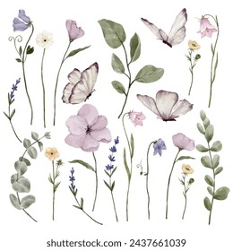 Conjunto de flores y hojas