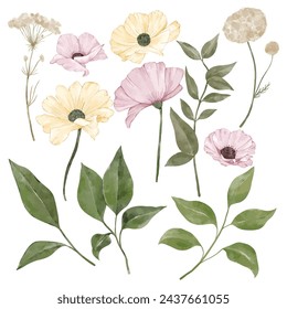 Set of flowers and leaves