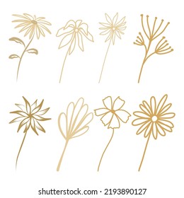 Set of flowers and leaves in boho style doodle elements