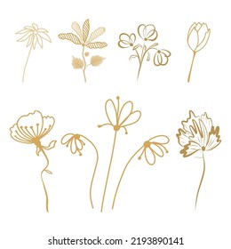Set of flowers and leaves in boho style doodle elements