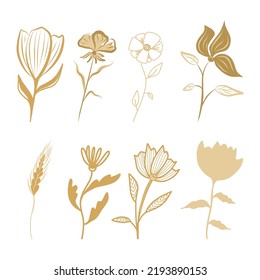 Juego de flores y hojas en elementos de doodle estilo boho