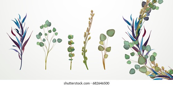 Set of flowers, leaves and branches, Imitation of watercolor, isolated on white. Sketched wreath, floral and herbs garland. Handdrawn Vector Watercolour style, nature illustration.