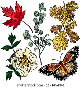 Set of flowers, leaves, butterfly. Vector color illustration. Beautiful nature. Vintage pattern, background. Realistic colorful drawing, tattoo.