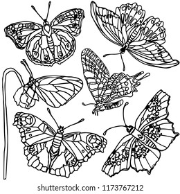 Set of flowers, leaves, butterfly. Vector illustration. Beautiful nature. Vintage pattern, background, coloring. Realistic monochrome drawing, tattoo, engraving.