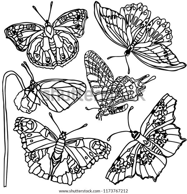 24+ Tattoo Butterfly Flower Drawing Pics