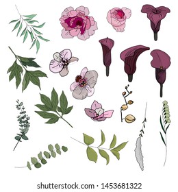 A set of flowers and leaves for decoration cards for weddings and celebrations. Flowers of peonies, callas, orchids and their leaves, leaves of exotic plants.  All objects isolated on white background