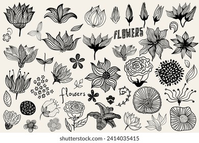 Set of flowers, leaves. Doodles. Handmade decorative elements. Vector illustration