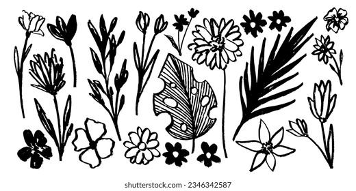 Set of flowers, leaves, floral stems, branches, monstera leaf. Wild plants drawing with grunge brush. Black and white botanical elements. Vector illustration.