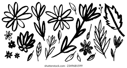 Set of flowers, leaves, floral stems. Hand drawn chamomile. Primitive wild plants drawing with grunge brush. Black and white botanical elements. Vector illustration. Simple style plants