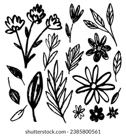 Set of flowers, leaves, floral stems. Primitive wild plants drawing with grunge brush. Black and white botanical elements. Vector illustration. Simple style plants