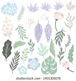A set of flowers and leaves. Hand drawn vector illustrations
