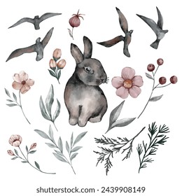 Set of flowers, leaves, hare and birds