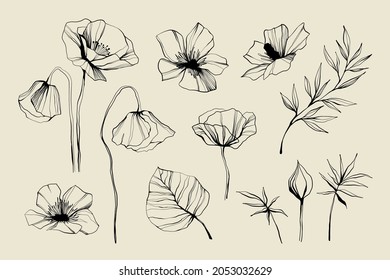 Set of flowers, leaves, leaf, buds hand drawn vector sketch. Hand drawn ink floral line drawing. Wild flowers minimalist design. Black and white art. Abstract floral illustration