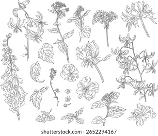 Set of flowers and leaves on a transparent background in vintage style