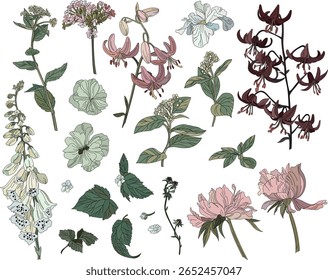 Set of flowers and leaves on a transparent background in vintage style