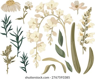 Set of flowers and leaves on a transparent background in vintage style	
