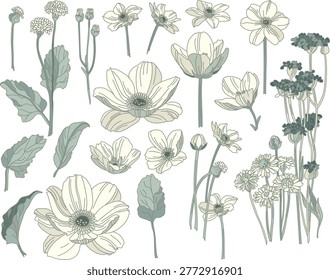 Conjunto flores y hojas