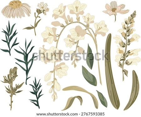 Set of flowers and leaves on a transparent background in vintage style	
