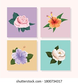 set of flowers with leaves painting in frames design, natural floral nature plant ornament garden decoration and botany theme Vector illustration