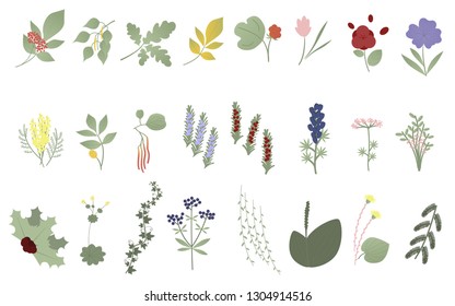 Set of flowers, leaves and plants. Vector. Botanical elements. Wildflowers, grasses, leaves, branches. Collection of garden and wild foliage, flowers. Illustrations on white background