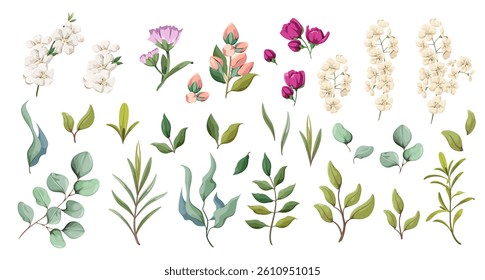 A set of flowers, leaves and twigs on a white background. Elements for the festive decor. Vector illustration in watercolor style.