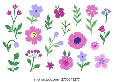 A set of flowers and leaves of various shapes. Vector graphics.