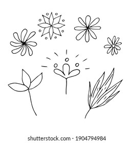 Juego de flores y hojas, ilustración de doodles vectoriales