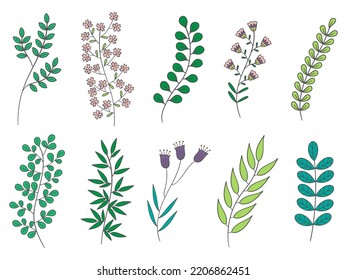 Set of flowers and leaves, vector illustration	