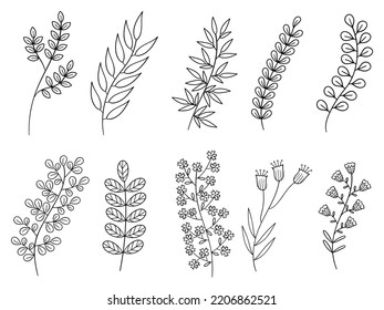Conjunto de flores y hojas, ilustración vectorial	