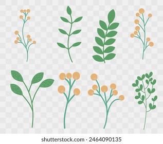 Set of flowers and leaves. Vector illustration on a transparent background.