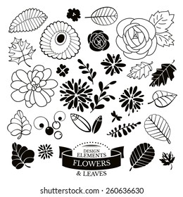 Set of flowers and leaves vector illustration